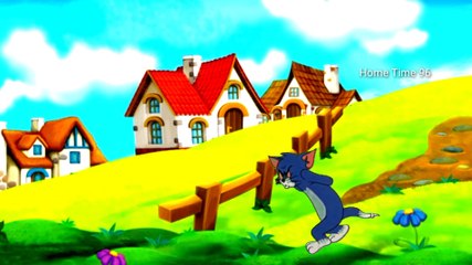 Tom And Jarry Cartoon Network|Tom And Jarry Funny Comedy Video