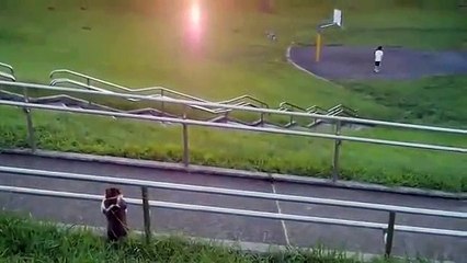 funny cat enjoying sunrise