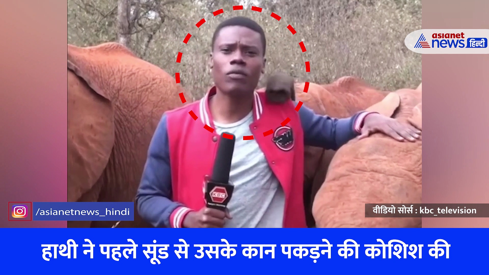 Funny Video : जब न्यूज रिपोर्टर के करीब आ गया हाथी, फिर लाइव टीवी में कैद हुआ मजेदार मोमेंट