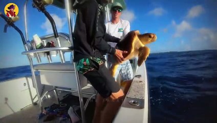 15 Best Shark Attacks Ever Caught On Camera