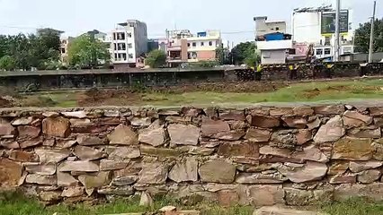 राजकीय आयुर्वेद महाविद्यालय में वनौषधी उद्यान वाटिका