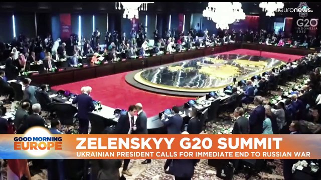 Ukraine war: Now is the time to press Russia for peace, Zelenskyy tells G20
