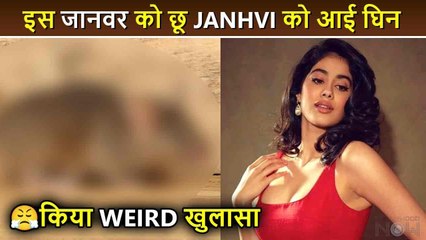 Janhvi Kapoor's Shocking 'Eww' Moment on 'Mili' Set 🐾: Reveals Fear of Animal Encounter