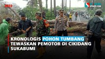 Kronologis Pohon Tumbang Tewaskan Pemotor di Cikidang Sukabumi