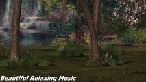 Stress-Relieving Music : Calm Your Mind With Relaxing Music Relief