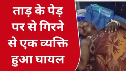 नवादा: ताड़ के पेड़ पर से गिरने से एक व्यक्ति हुआ घायल, सदर अस्पताल में भर्ती