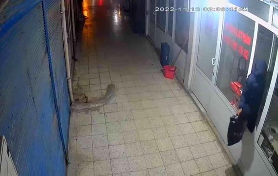 Dükkana pencereden giren hırsız, poşet dolusu cep telefonunu böyle çaldı