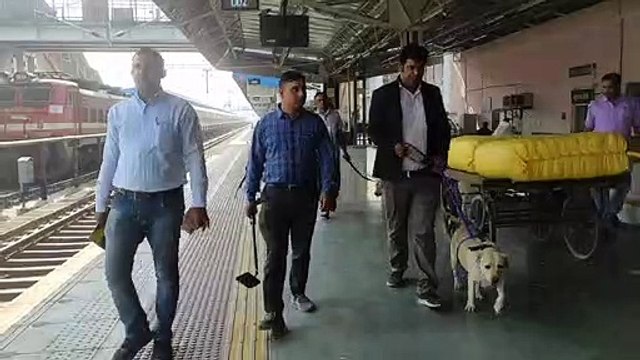 Police intelligence agencies searched the city in the investigation