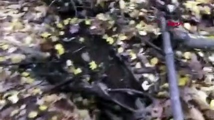 Tunceli'de 881 personelle dev operasyon