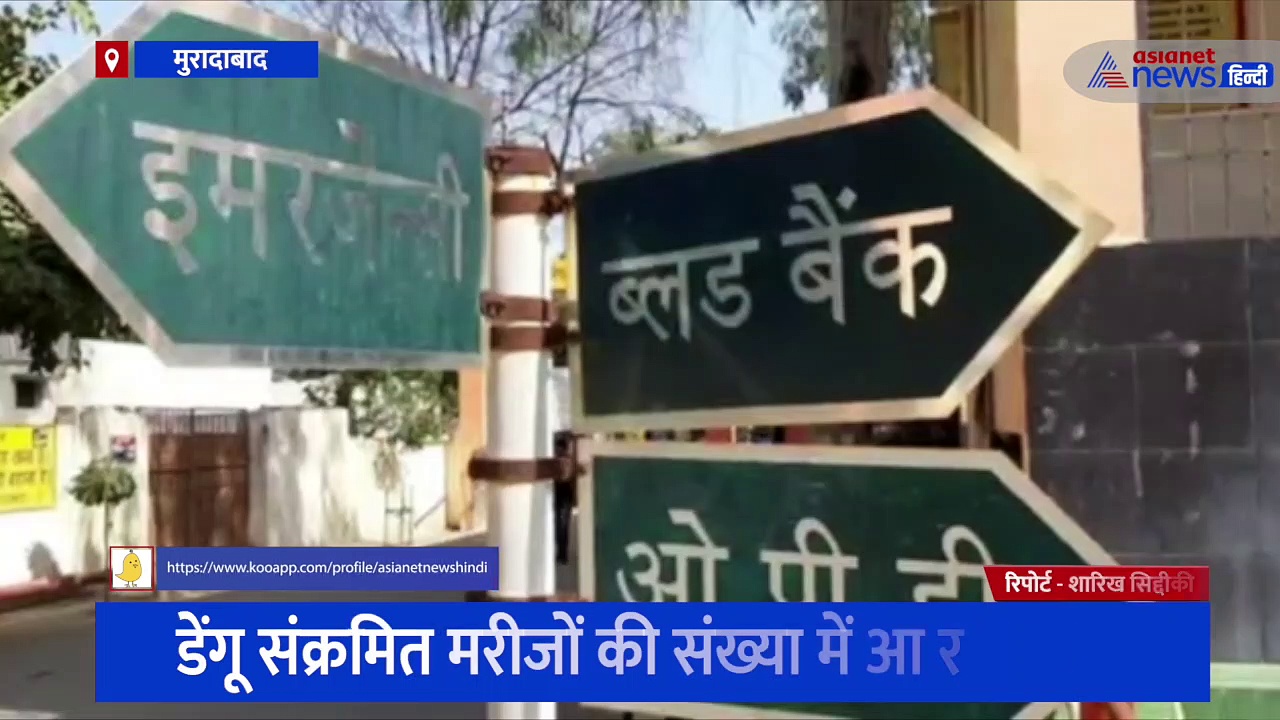 ठंड बढ़ने के साथ कम हो रहे डेंगू के मामले, मुरादाबाद में एलर्ट मोड पर स्वास्थ्य विभाग की टीम