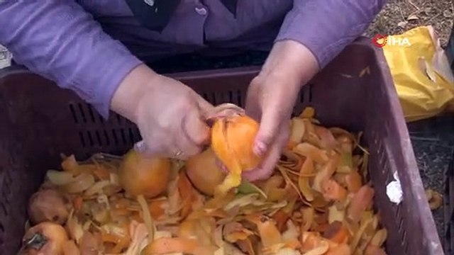 Dört bir yandan talep geliyor Sadece 2 hafta bekletene 10 kat kâr