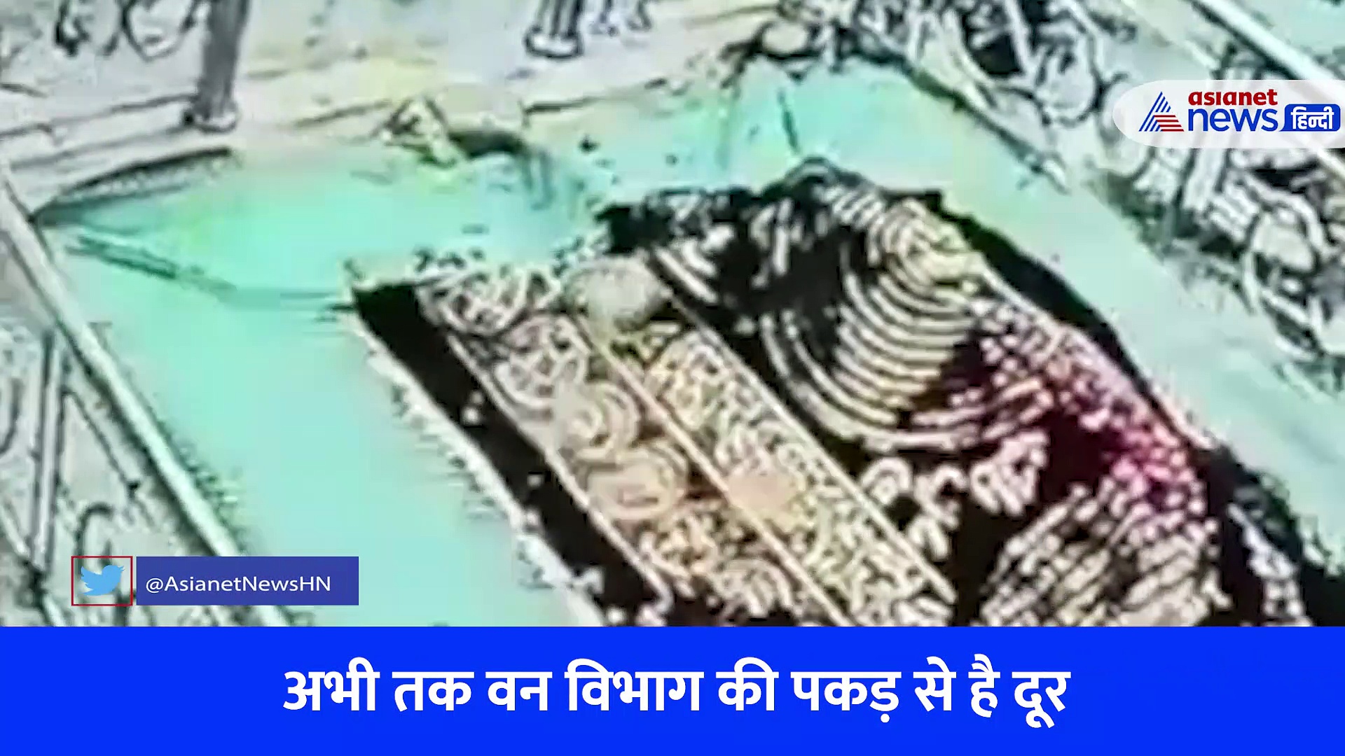 जंगल से निकलकर आधी रात में कॉलोनी में घुस आया पैंथर, फिर जो हुआ उसने फैला दी दहशत, देखे जबरदस्त वीडियो