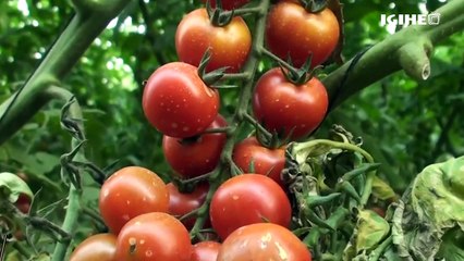 Imihigo ni yose kuri Dr Ngabitsinze wagizwe Minisitiri w’Ubucuruzi n’Inganda__Twaganiriye