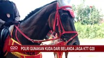 Polri Gunakan Kuda dari Belanda untuk Perketat Pengamanan G20 di Bali