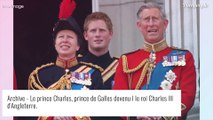 Prince Harry snobé par son père : nouveau coup de poignard de la part de Charles III