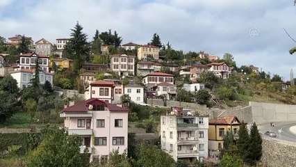 Köpeklerden kaçarken yaralanan kişiden "sahipsiz hayvanlara çözüm" çağrısı