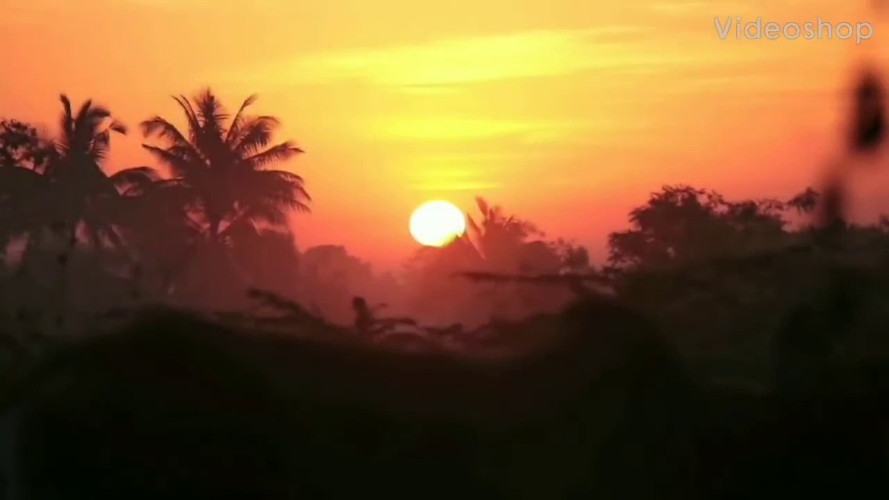 A2 Milk Mumbai