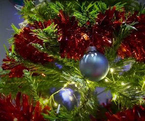 Christmas at Drusillas in East Sussex