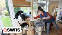 Family convert their house into rescue centre where they live with more than 130 cats