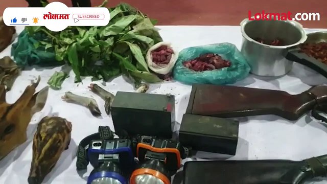 वन्यप्राण्यांच्या शिकार पार्टीचा असा उधळला गेला बेत..-