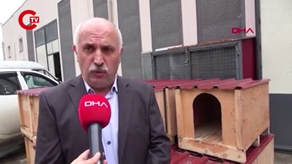 Para kasaları, ‘can dostlara’ yuva oluyor