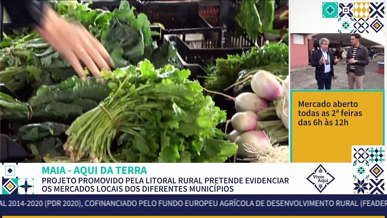 AQUI DA TERRA  MAIA Parte 1