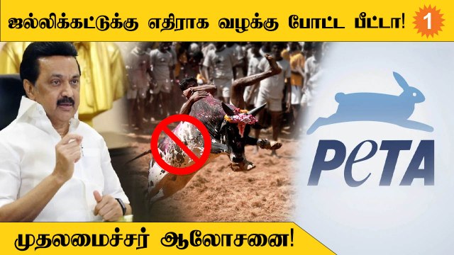 ஜல்லிக்கட்டுக்கு எதிராக மீண்டும் பீட்டா அமைப்பு மீண்டும் வழக்கு போட்டிருப்பதால் சர்ச்சை!