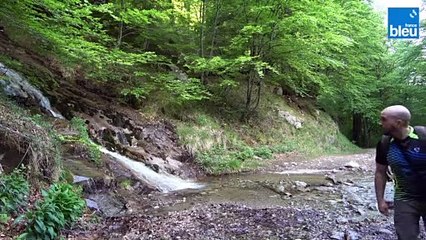 Les escapades de Mika - La cascade d'Ars