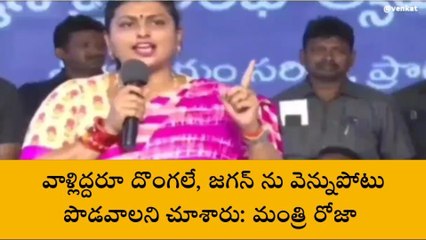 ప్రొద్దుటూరు: వాళ్లిద్దరూ దొంగలే... రోజా సంచలన వ్యాఖ్యలు