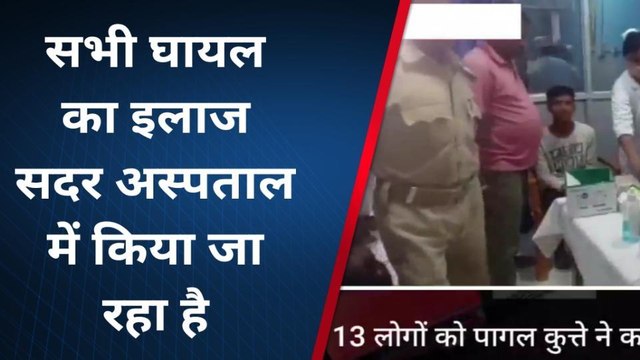 लखीसराय: आवारा पागल कुत्ते के काटने से 13 लोग हुए जख्मी, अस्पताल में भर्ती