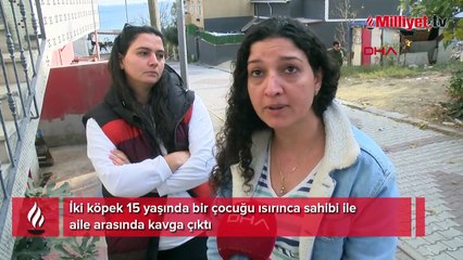 15 yaşındaki çocuğu köpek ısırdı! Sahibi ile aile arasında kavga çıktı