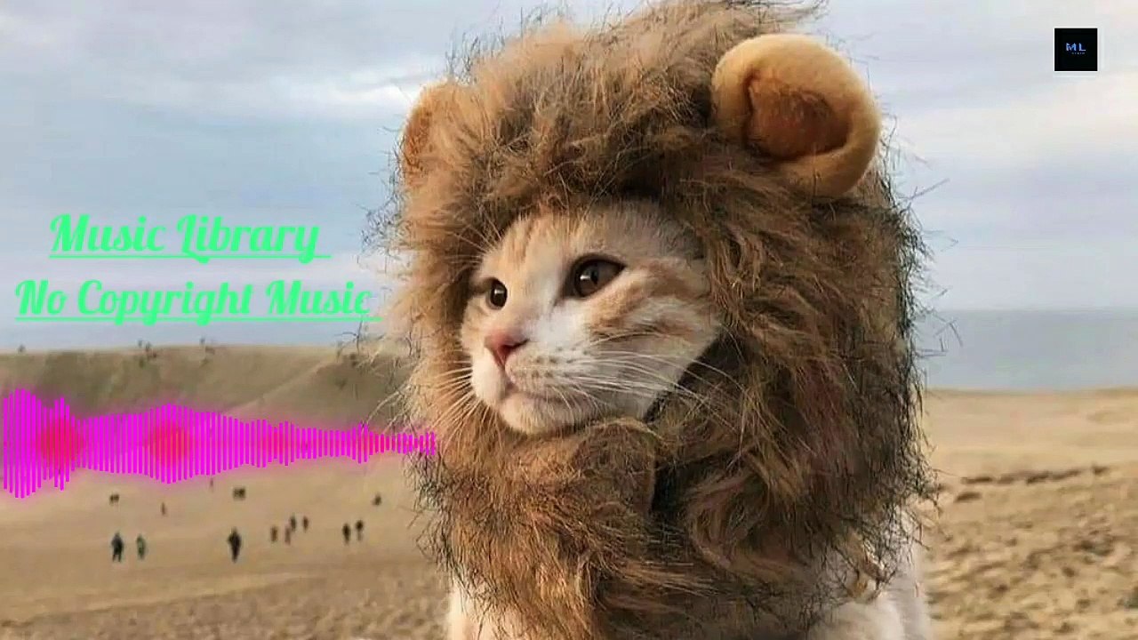 Song World You Be Waiting 2022 | No Copyright Music |