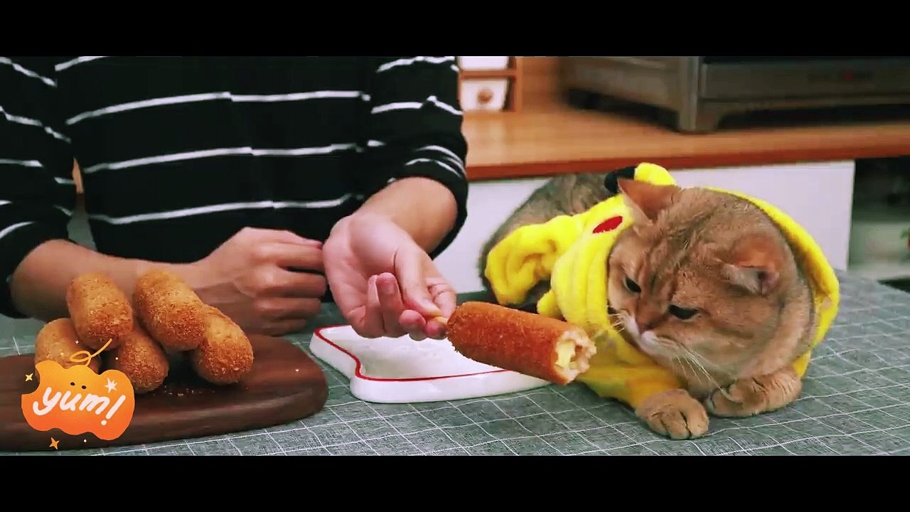 mozarella