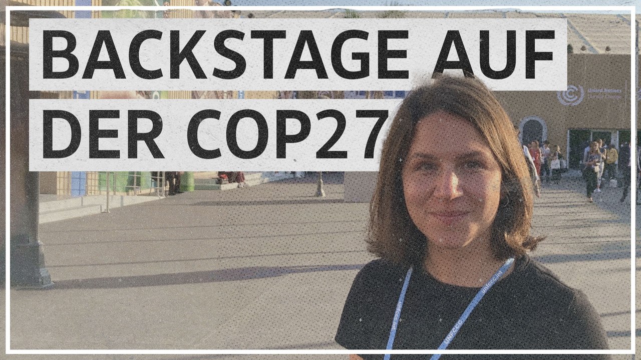 Berichten von der Klimakonferenz: 'Die COP ist ein vorhersehbares Chaos'