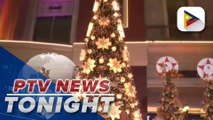 Newport World Resorts light up Christmas tree
