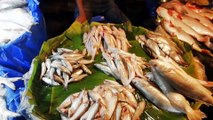 Huge Retail Fish Selling Area of Bangladesh