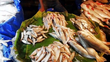 Huge Retail Fish Selling Area of Bangladesh