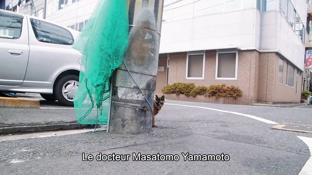 Professeur Yamamoto part à la retraite Bande-annonce VO