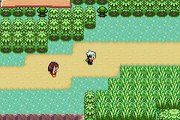 Pokémon Version Émeraude online multiplayer - gba