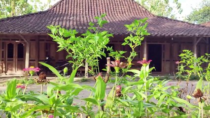 RUMAH LIMASAN KUNO - GEBYOK SEPERTI BARU // ANCIENT LIMASAN HOUSE - GREAT LIKE NEW