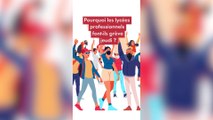 Pourquoi les lycées professionnels font-ils grève jeudi 17 novembre ?