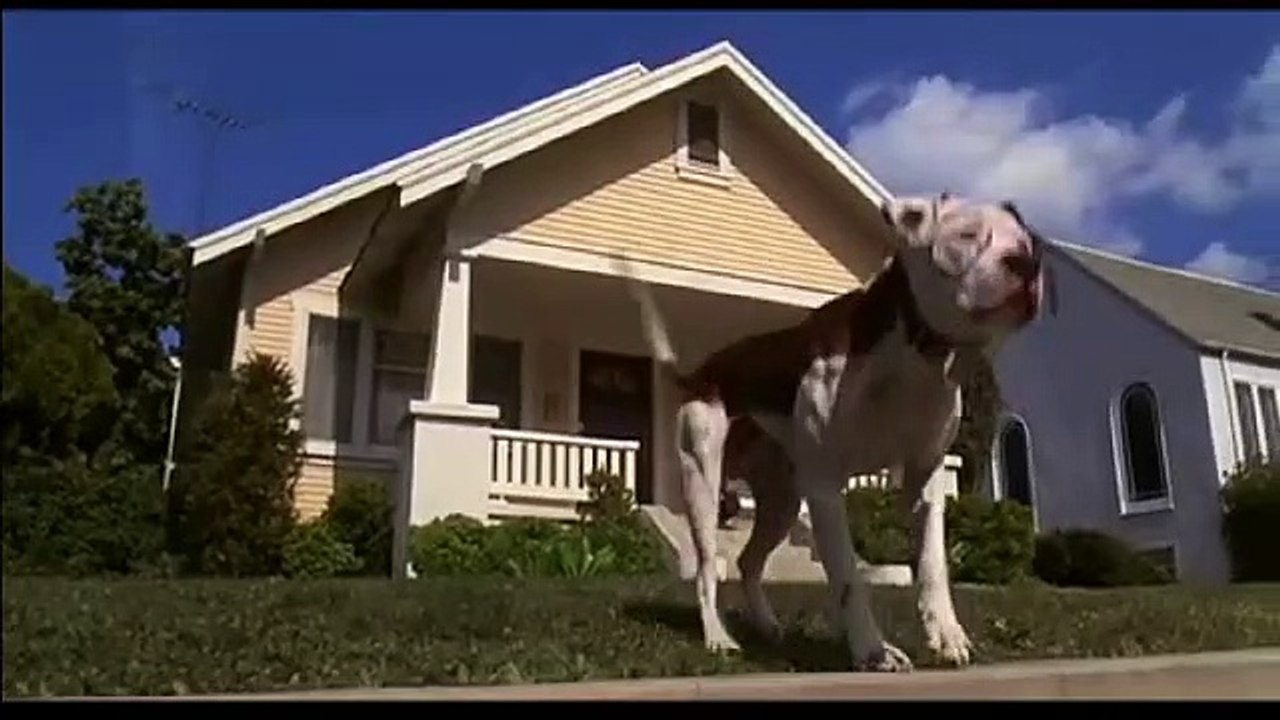 Les Chenapans Bande-annonce (EN)