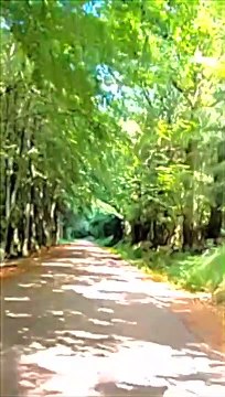 2 - ROUTE TOURISTIQUE DES GENIÈVRES - grand tour du lac des SETTONS