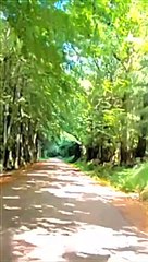 2 - ROUTE TOURISTIQUE DES GENIÈVRES - grand tour du lac des SETTONS