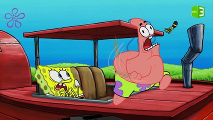 رد فعل سبونج بوب وبسيط من النحلة 