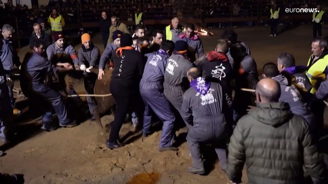 Animalistas anuncian medidas legales contra el Toro Júbilo de Medinaceli en España