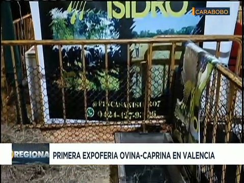 Carabobo | Realizan primera expoferia ovina y caprina en Valencia con más de 30 productores