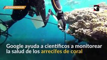 Google ayuda a científicos a monitorear la salud de los arrecifes de coral