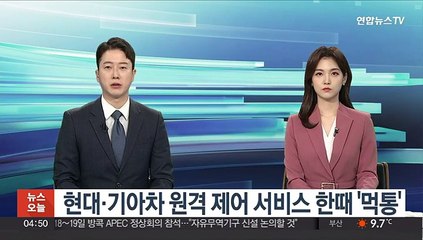 현대·기아차 원격 제어 서비스 한때 '먹통'