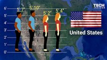 Humans Are Growing A Lot Taller - Record Speed In The Last Century